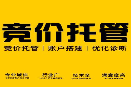 SEM托管实战：成功案例分享与经验总结